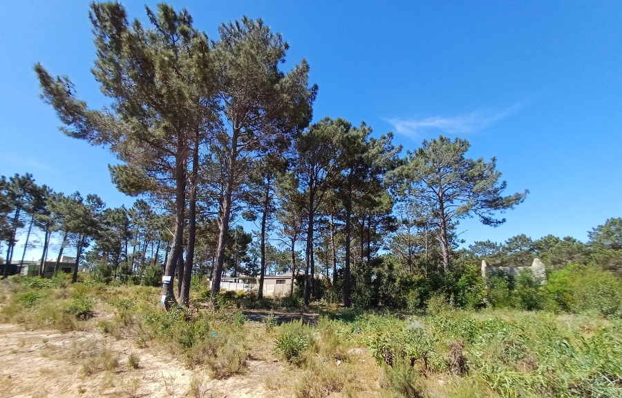 0 Bedroom Property for Sale in Bot River Avenues Western Cape